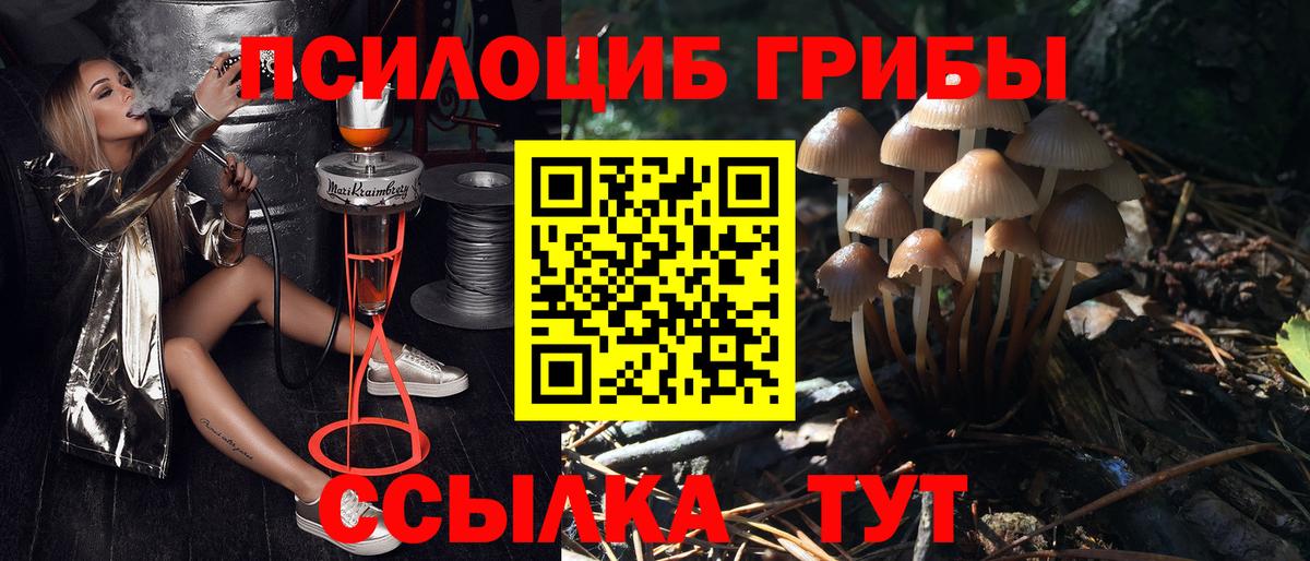 Галлюциногенные грибы ЛСД Ливны